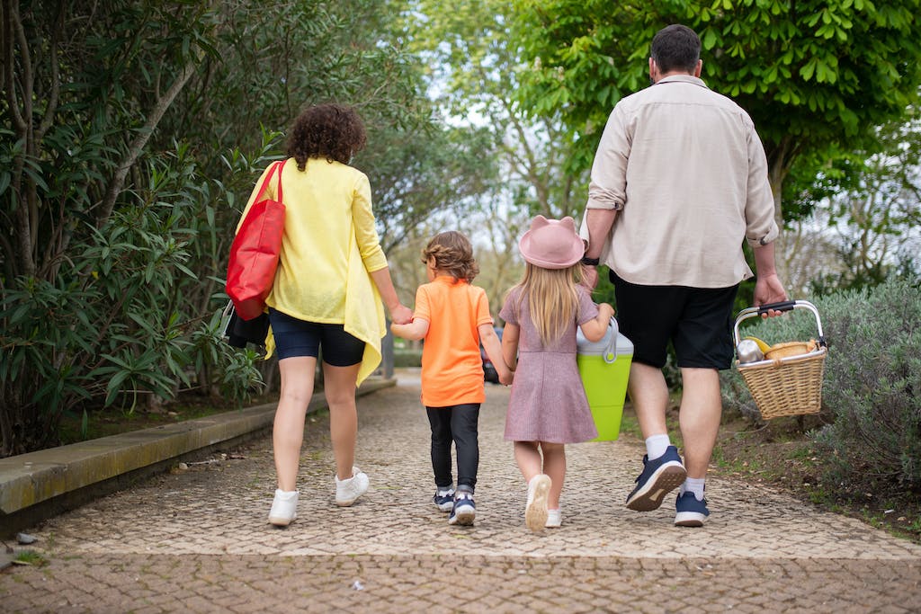 Back View of a Family Walking Together in the Park